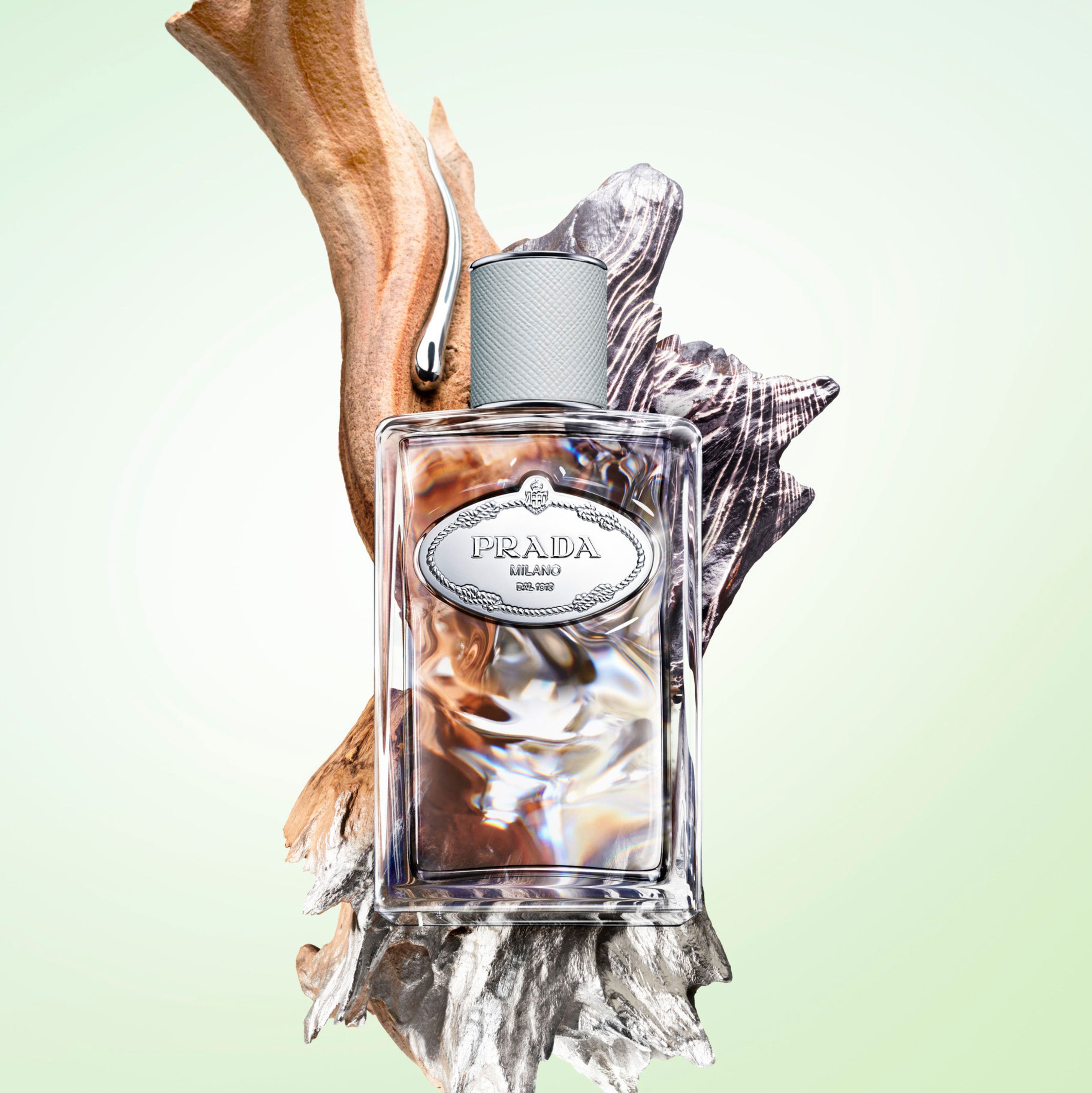 Infusion de Cèdre Eau de Parfum