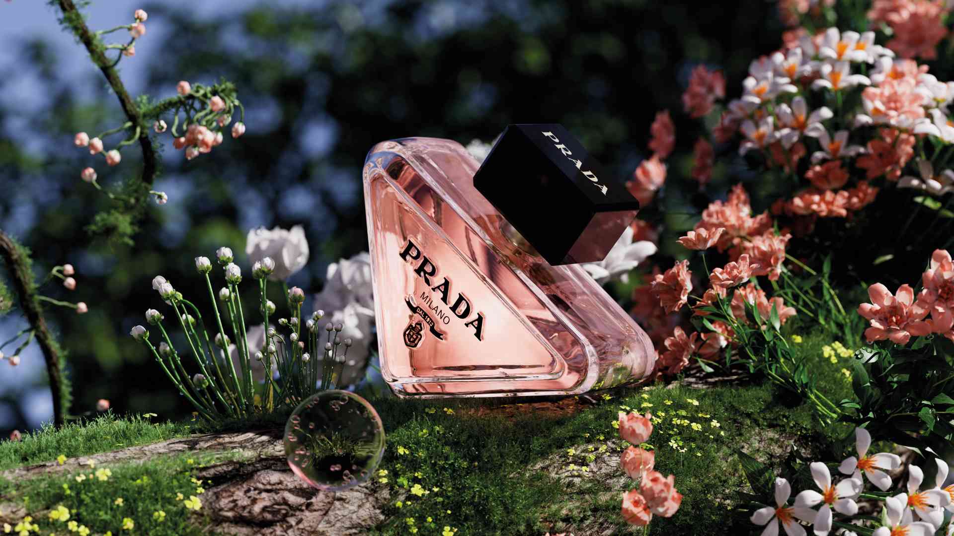 Fragrances, Makeup & Skincare | Prada Beauty Official Site